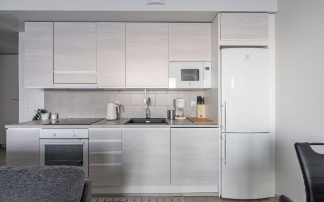 Spacious 1BR Apt. Next to Lake Näsijärvi