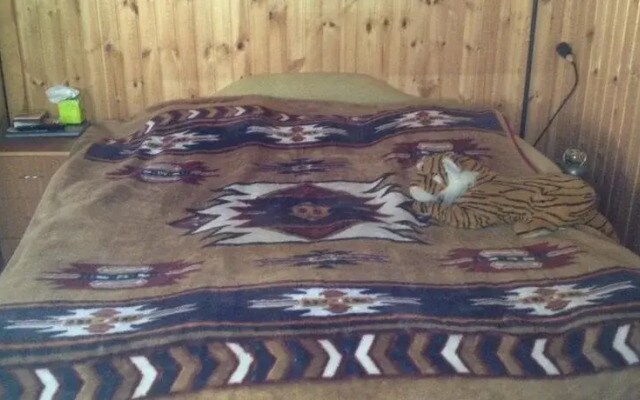 Guest House Ozerki