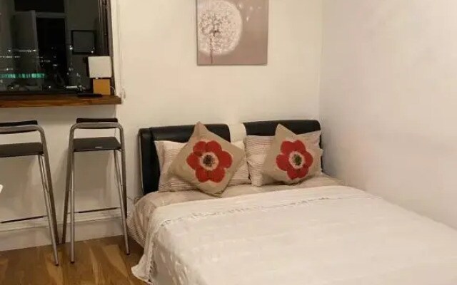 Room in Central London Overview Thames