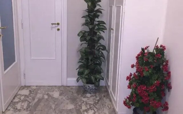 Aurora Guest House