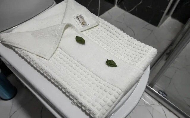 Hotel Mount Ararat