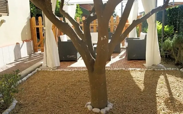 B&B Vegan Inn Airport