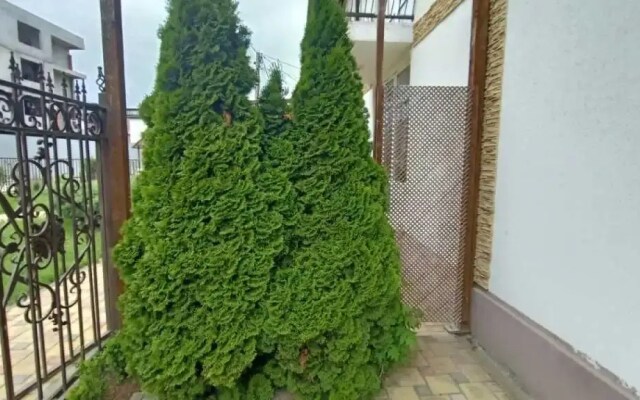 Belaya Zhemchuzhina Guest House