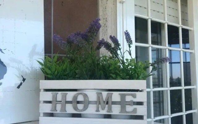 Talenti little home