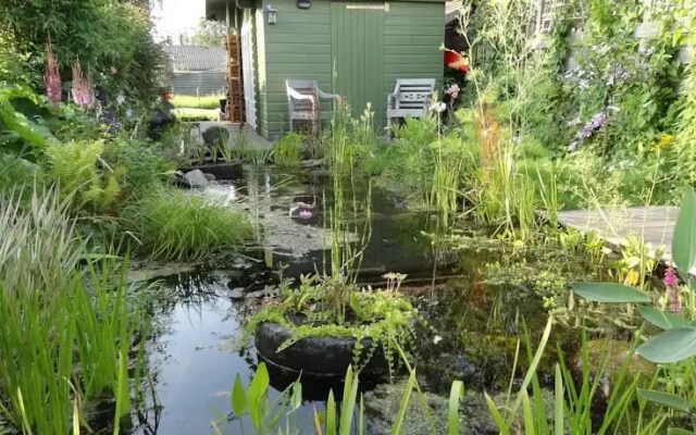 Amsterzonian B&B