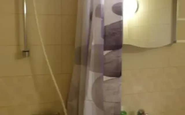 Viva Apartment
