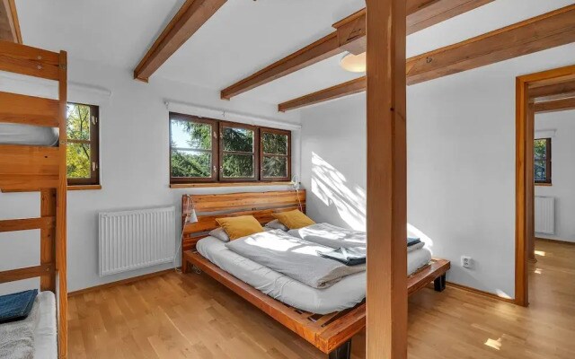 Villa in Dolni Branna With Sauna