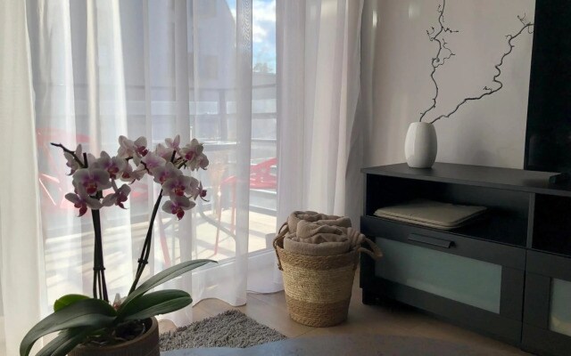 Cosy 1 bedroom apartment in the heart of old town