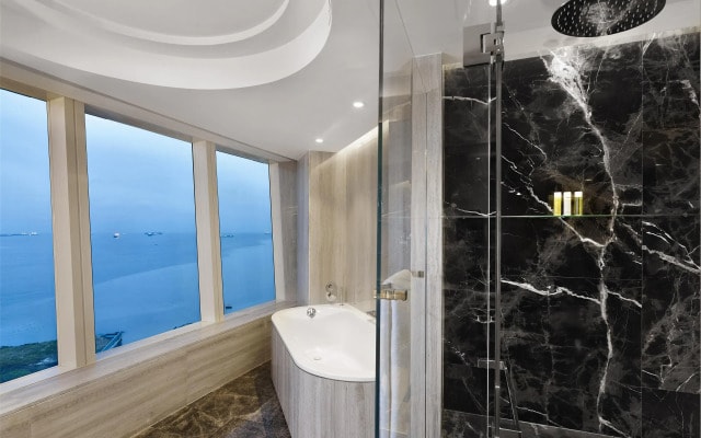 Отель Hyatt Regency Istanbul Ataköy