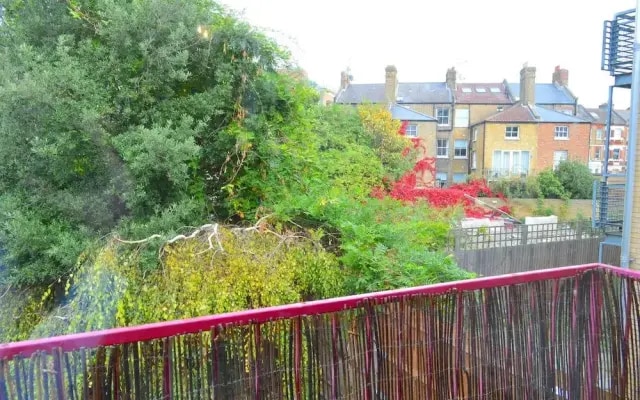 Spacious 1 Bedroom Flat Minutes From Oval