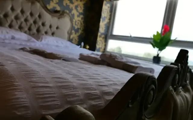 Sexy Luxurious Versace Apartment Near Sheffield