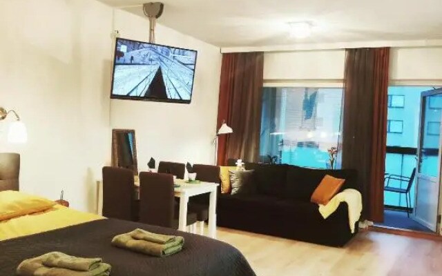 Joutjärven Studio Apartment