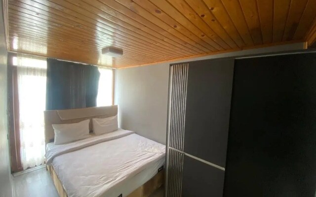 Novel Suite