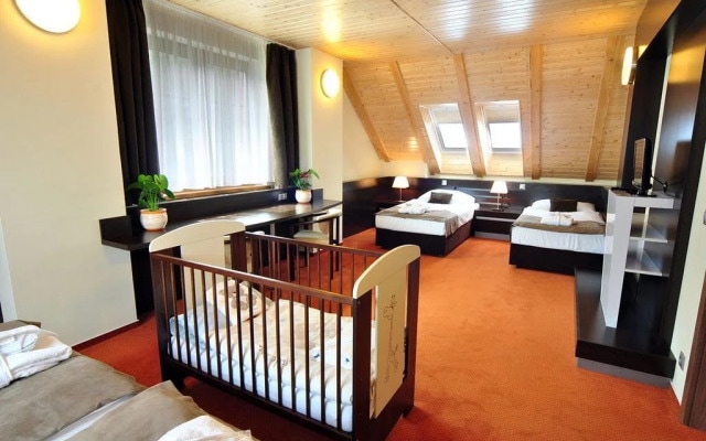 Wellness Hotel Pod Kycmolem