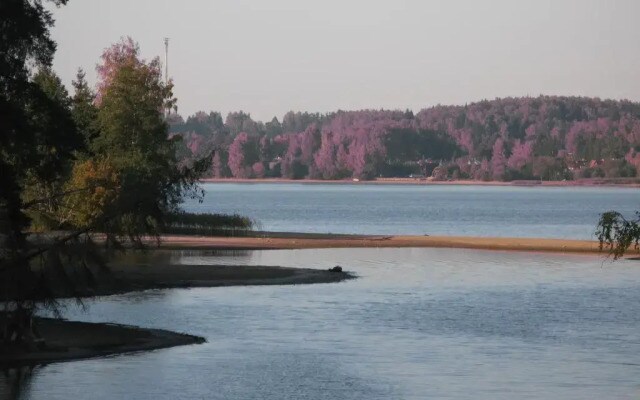 Rēzijas