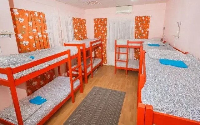 Kangaroo hostel