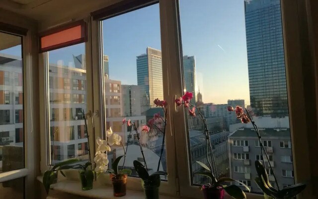 Zielna City Center