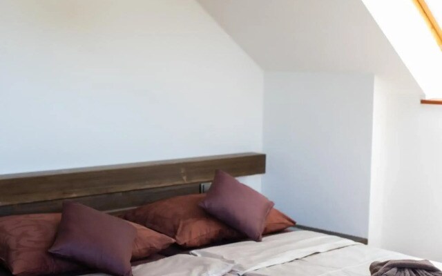 Apartmány VÍNO HRUŠKA Pardubice