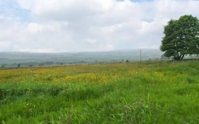 Curlew Cottage