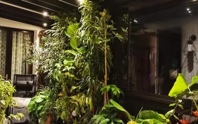 La campagne dans la ville , maison d'hôtes