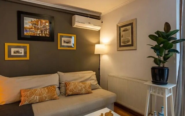 Splendid Flat With Terrace Near Istiklal Street