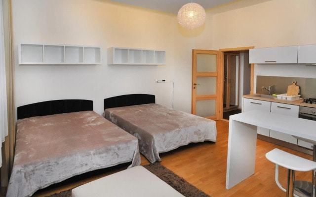 Apartment Elišky Krásnohorské