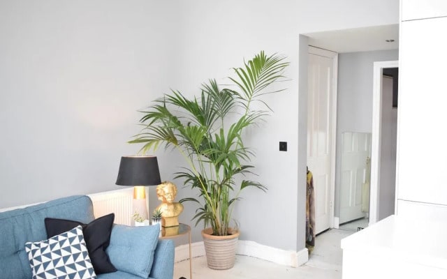 Stylish 1 Bedroom Flat Near Brixton