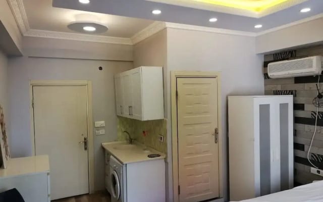 Banana Suite