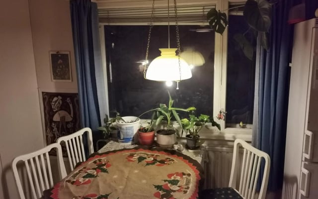 Old Cozy Wood House