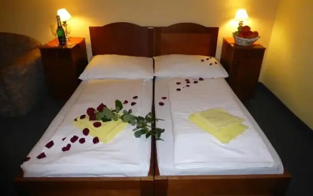 Hotel Korunni Princ