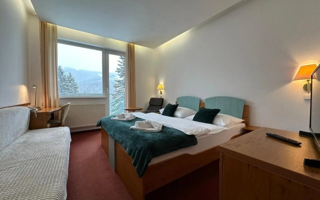 Interhotel Montana