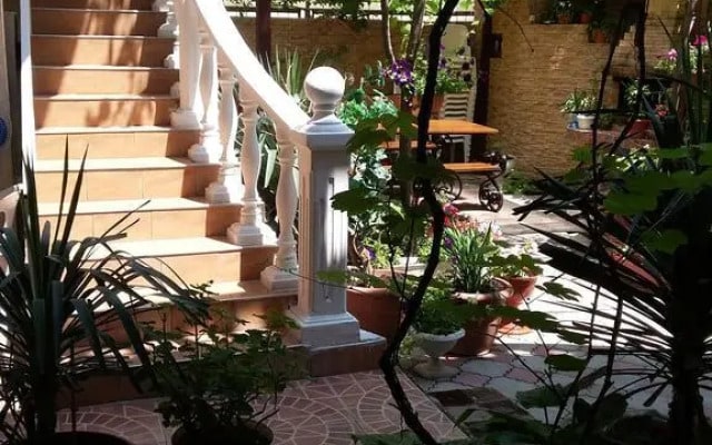 Olga Guest House