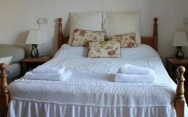 Terrafirma Guest House