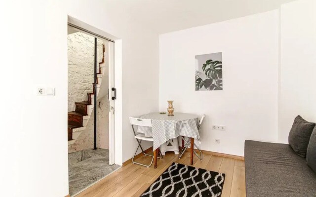 Single House Luminous and Chic Flat in Fatih