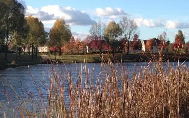The Heron