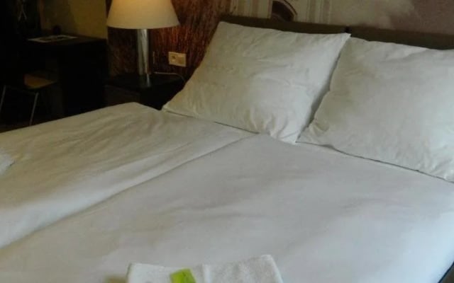 Hotel Bílý Páv
