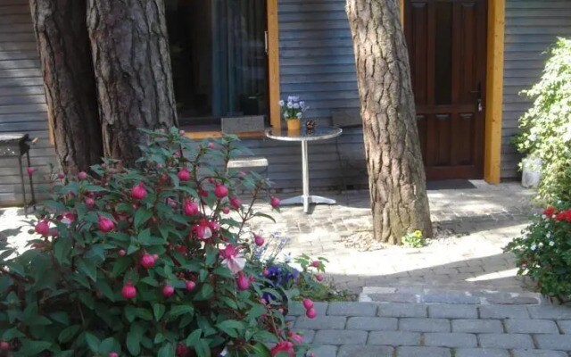 Guest House Vecāķi