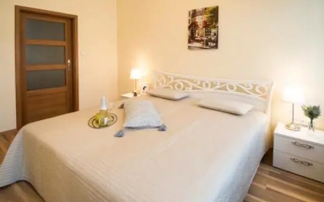 Apartment Za Poricskou branou