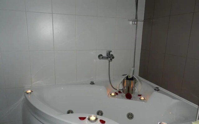 Hotel Metsis