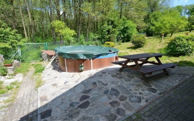 Idyllic Villa With Private Pool in Trebusin Czech Republic