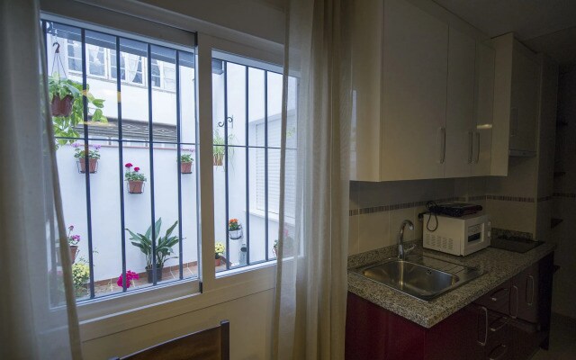 Gibralfaro Centro Apartaments