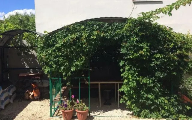Guest House Rubin