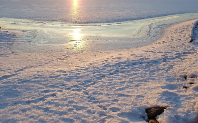 Private Island Gulf of Finland