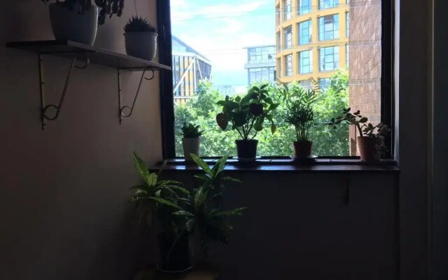 Room in Central London Overview Thames