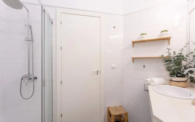 Luxury Apartment in Malaga Larios VI