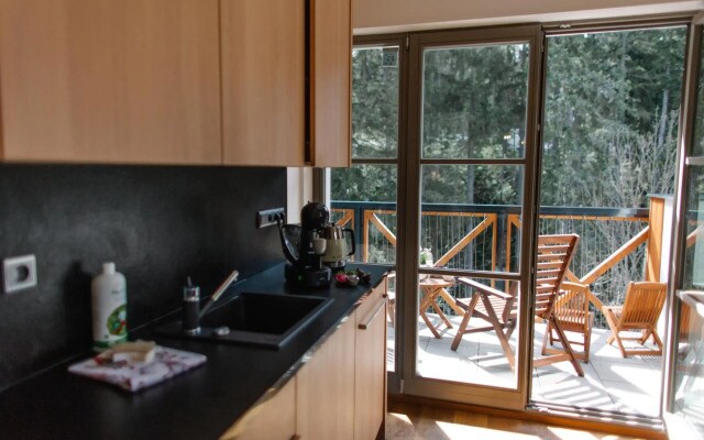 Luxusní horský apartmán v centru Harrachova