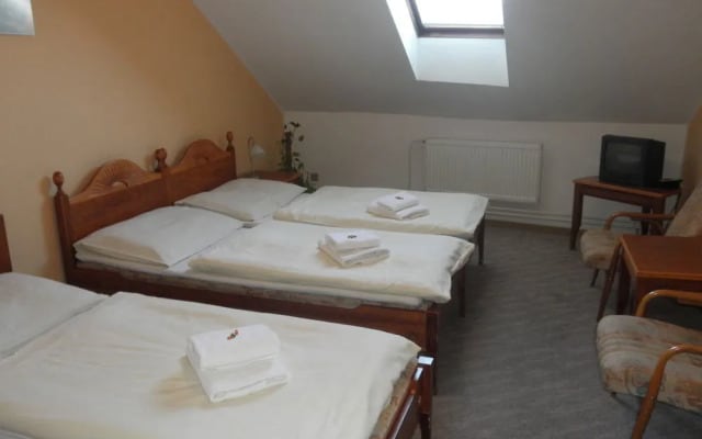 Hotel Sokolský Dům Austerlitz