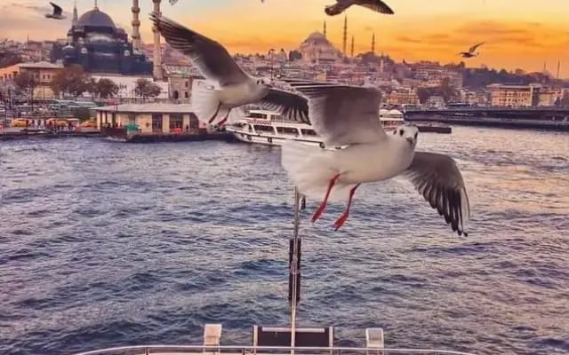 Kadıköy Studio Flat