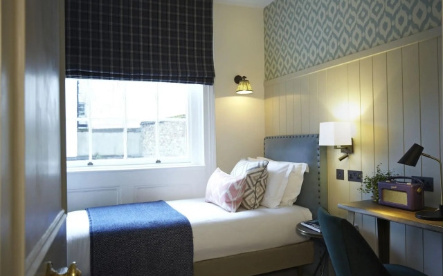 Room Mate Lime Tree
