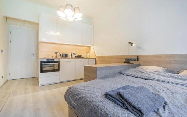 Business Studio Andel, 10min Centre, NETFLIX, Paid Parking